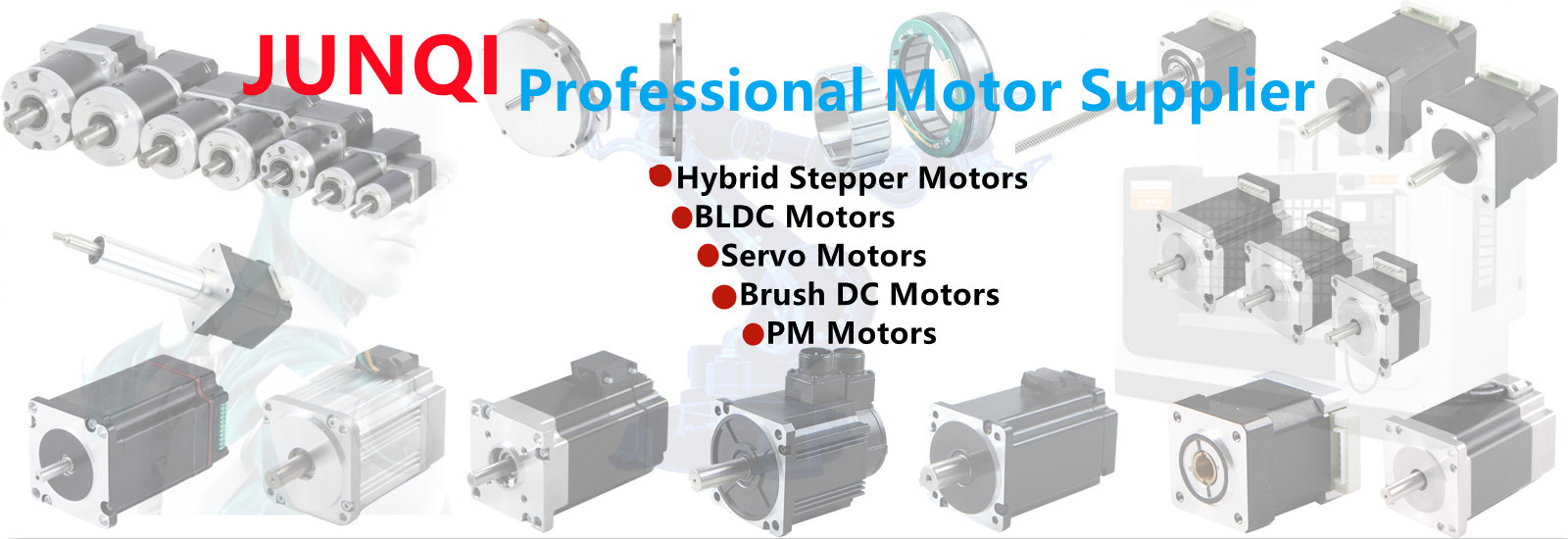 quality Brushless DC Electric Motor factory